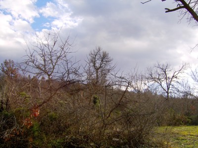 Click here to view at full resolution.