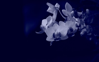 Click here to view at full resolution.