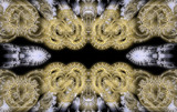 Golden Separation by Flmngseabass, abstract->fractal gallery