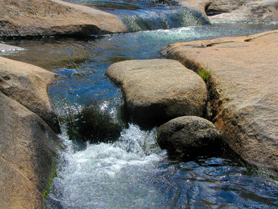 Click here to view at full resolution.