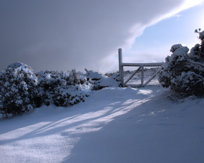 Click here to view at full resolution.