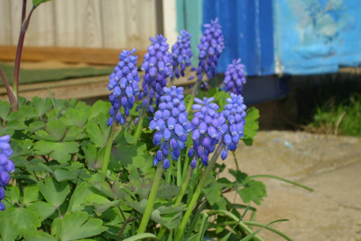 Click here to view at full resolution.