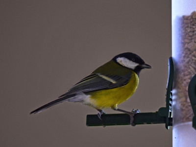 Click here to view at full resolution.