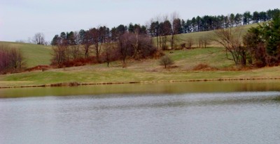 Click here to view at full resolution.