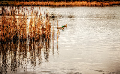 Click here to view at full resolution.