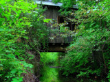 Covered Bridge by busybottle, photography->bridges gallery