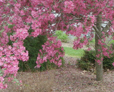 Click here to view at full resolution.