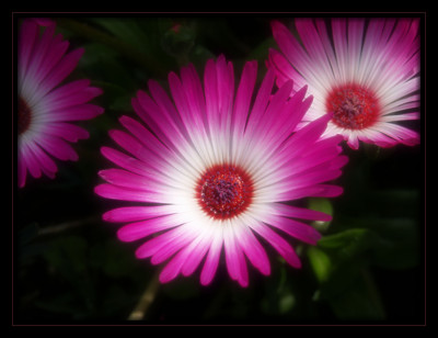 Click here to view at full resolution.