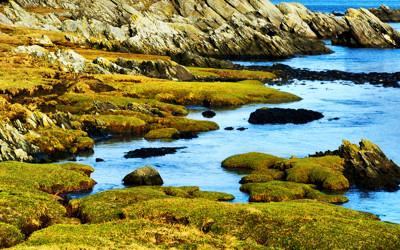 Click here to view at full resolution.