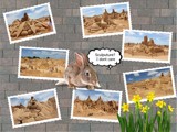 The rabbit's option by ovar2008, illustrations gallery
