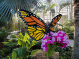 Butterfly and Flower Lego Sculpture by Pistos, photography->sculpture gallery