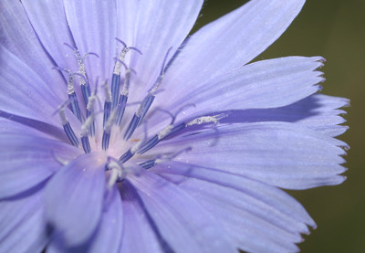 Click here to view at full resolution.