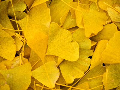 Click here to view at full resolution.