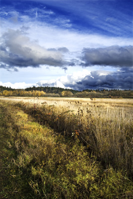 Click here to view at full resolution.