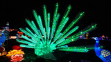 Peacock feathers by ted3020, holidays gallery
