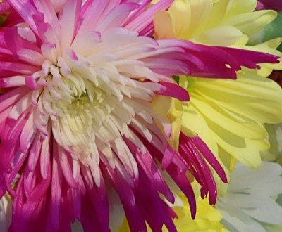 Click here to view at full resolution.