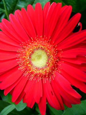 Click here to view at full resolution.