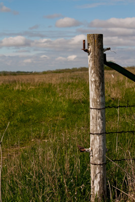 Click here to view at full resolution.