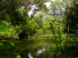 where are we?? by gaeljet2, Photography->Shorelines gallery