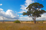 Fields of Gold by flanno2610, Photography->Landscape gallery