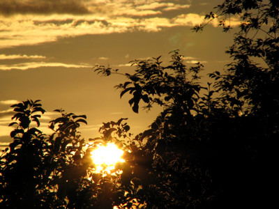 Click here to view at full resolution.