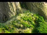 Mossy Roots by imbusion, Photography->Landscape gallery