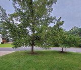 The Front Yard 4 by Jhihmoac, photography->general gallery