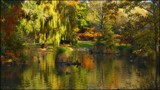 Autumn In The Park #2 by LynEve, photography->landscape gallery