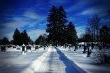 Frozen Cemetery by JayMxPhotography, photography->nature gallery
