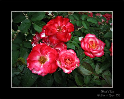 Click here to view at full resolution.