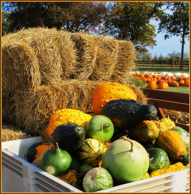 Click here to view at full resolution.