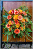 Gig Foofies 139 by corngrowth, photography->flowers gallery
