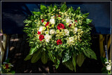 Gig Foofies 148 by corngrowth, photography->flowers gallery