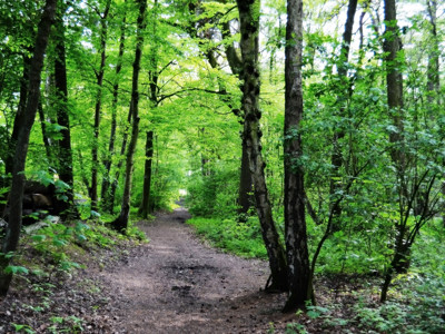 Click here to view at full resolution.