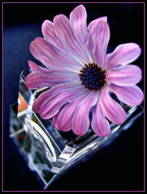 Click here to view at full resolution.