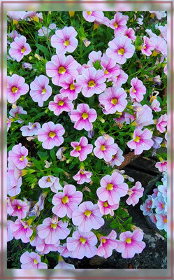 Click here to view at full resolution.
