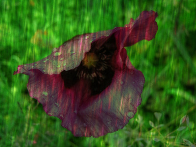 Click here to view at full resolution.