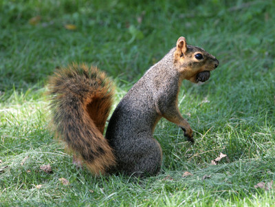 Click here to view at full resolution.