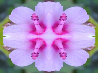 Click here to view at full resolution.