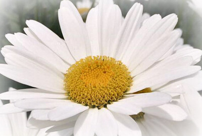 Click here to view at full resolution.