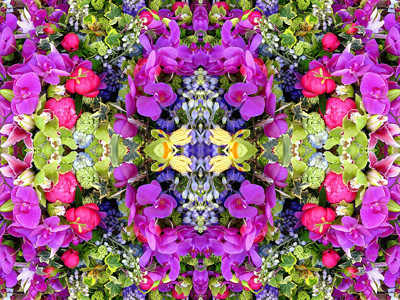 Click here to view at full resolution.