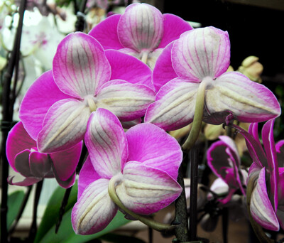 Click here to view at full resolution.