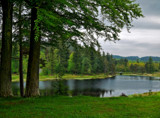 Cragside Lake by biffobear, photography->landscape gallery