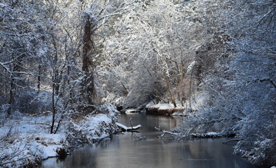 Click here to view at full resolution.