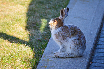 Click here to view at full resolution.