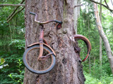 Bike In Tree by jeremy_depew, Photography->Nature gallery