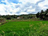 Village scene-3 by sahadk, photography->landscape gallery