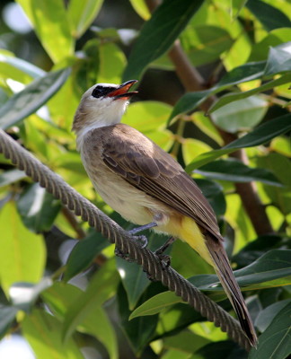 Click here to view at full resolution.