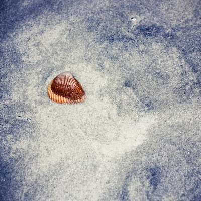 Click here to view at full resolution.