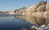 Winter Mallard by Tomeast, photography->water gallery